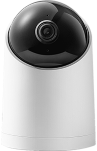 dz01